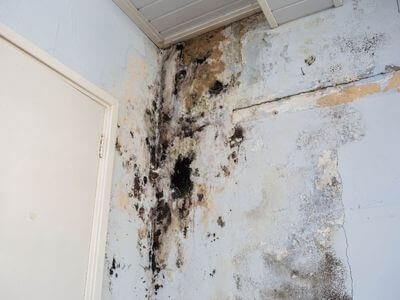 About BluePeak Pros - water damage restoration experts in La Mirada